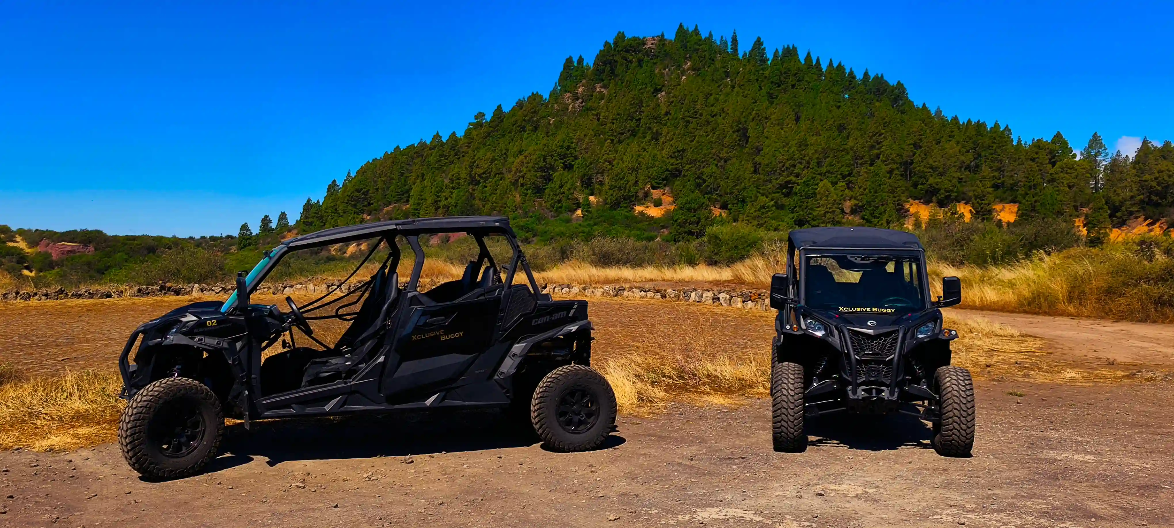 Quiet scenic roads at dusk