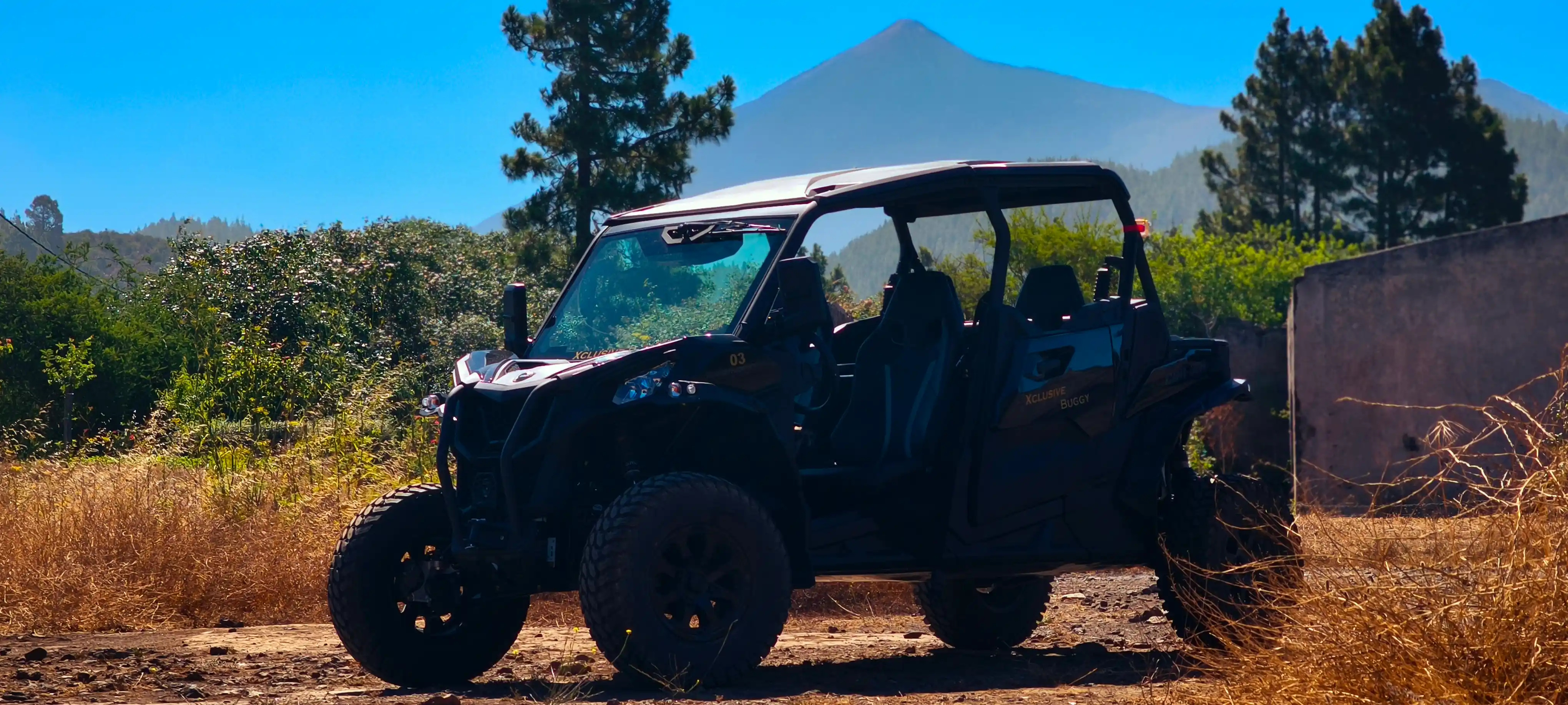 Xclusive Tour buggy on scenic road